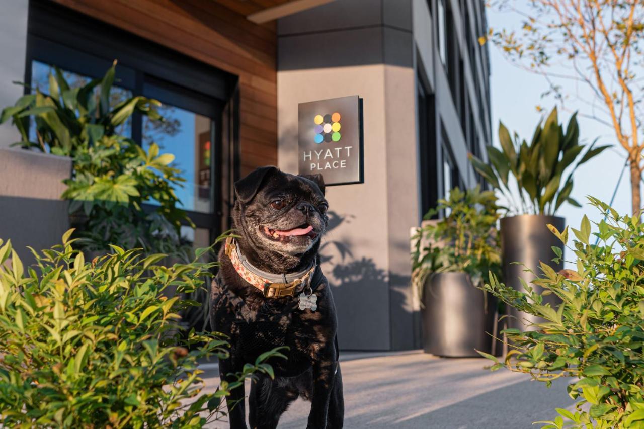 Hyatt Place Atlanta/Perimeter Center Sandy Springs Dış mekan fotoğraf
